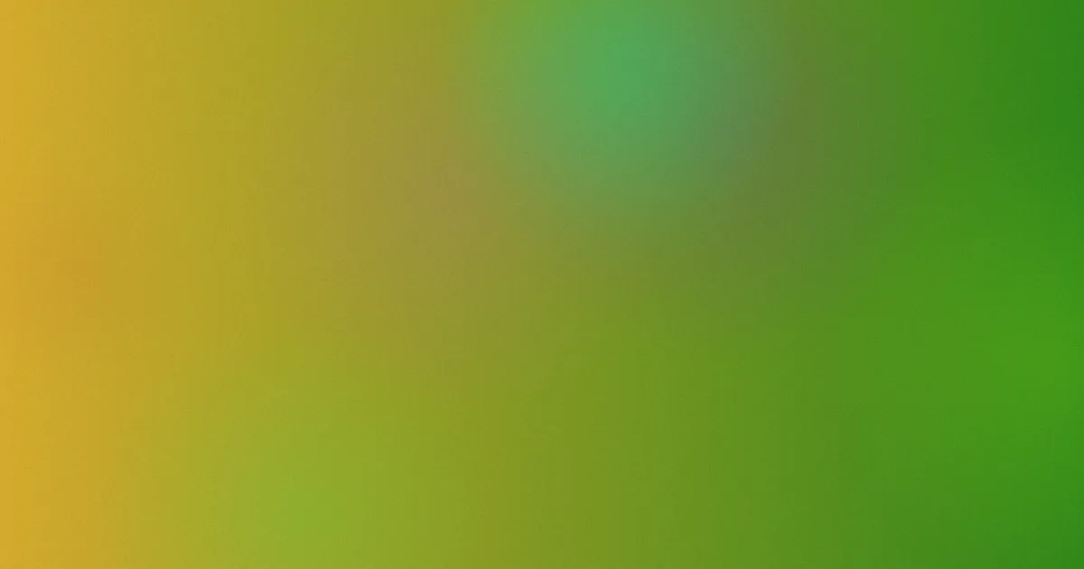 日韩成人推荐：新手这样选